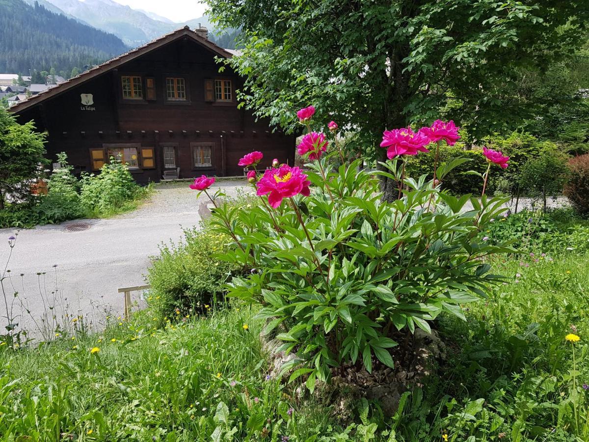 Le Castor Acomodação com café da manhã Morgins Exterior foto